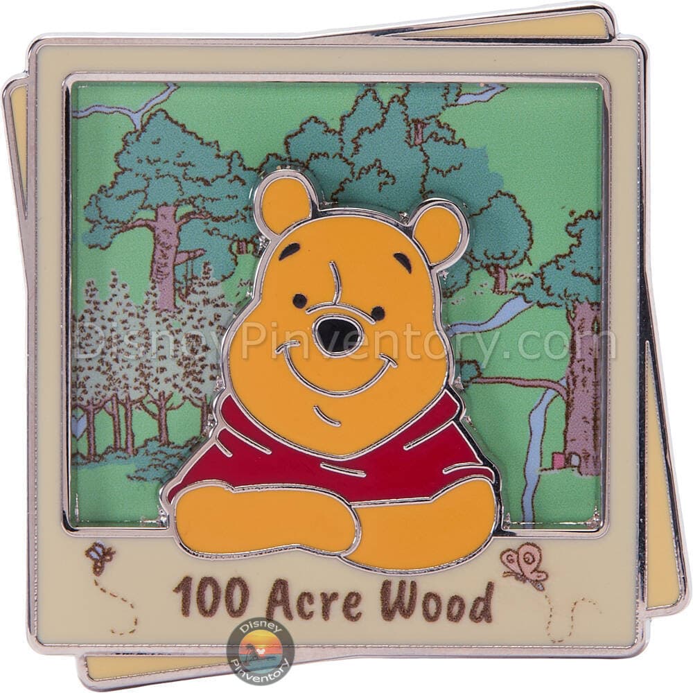 Disney Destinations: Winnie the Pooh Pin - 100 Acre Wood - March - Pin 50579